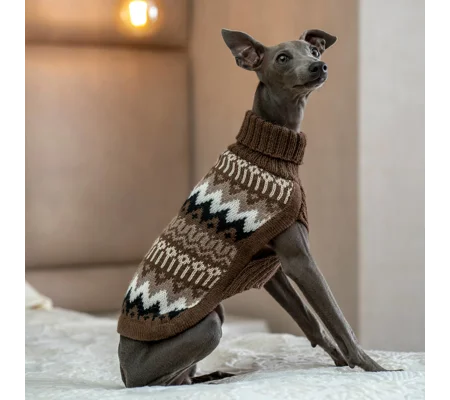 Woolly Peaks Alpaca Wool Dog Jumper - Alqo Wasi