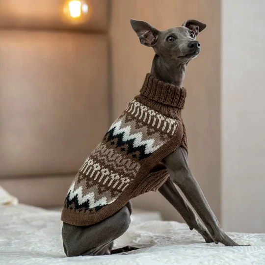 Woolly Peaks Alpaca Wool Dog Jumper - Alqo Wasi