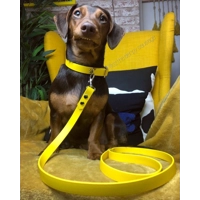 SUNFLOWER YELLOW Biothane Dog Lead