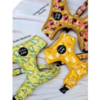 Zesty Butter Meadows Floral Dog Harness