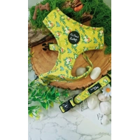 Zesty Butter Meadows Floral Dog Collar
