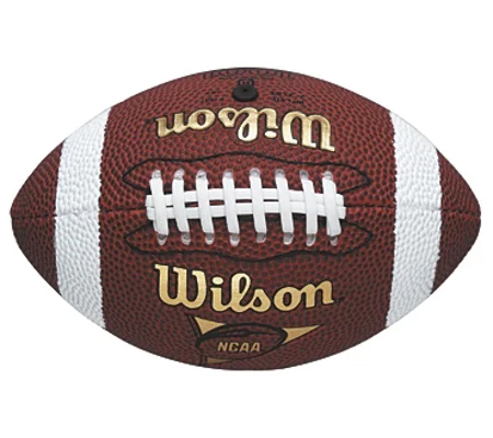 Wilson NFL Micro American Football