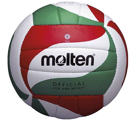 Molten V5M1800-L Volleyball