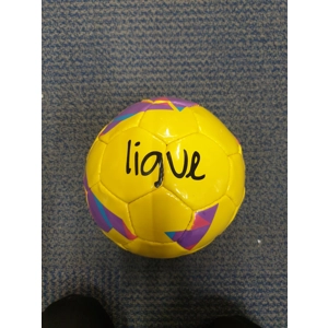 Clearance Ligue Training Ball Size 5