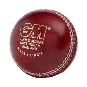 GM Catalyst Cricket Ball