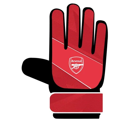 Team Merchandise Goalkeepers Gloves