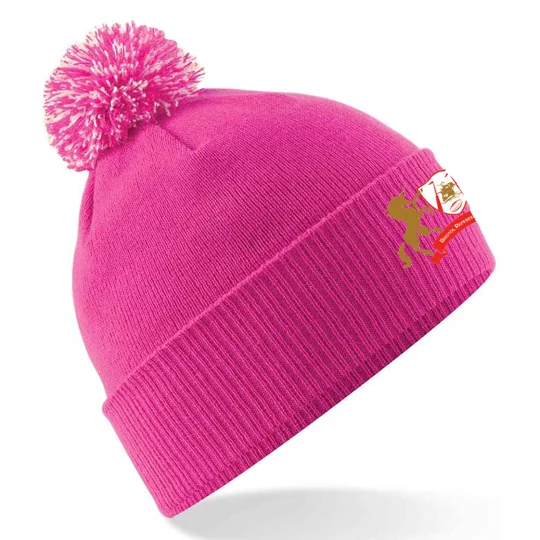 Bristol Ref Society Snowstar Beanie