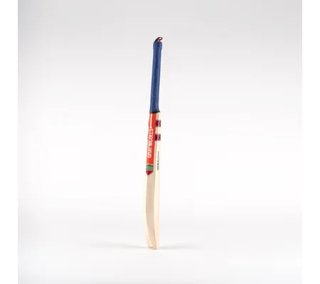 Gray-Nicolls Training Technique Bat