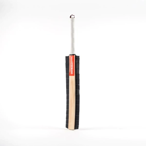 Gray-Nicolls Training Snicko Bat