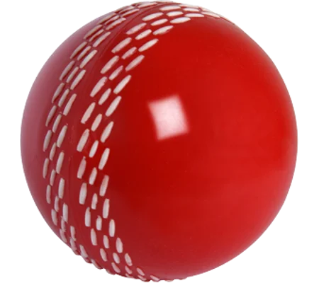 Gray Nicolls Velocity Ball