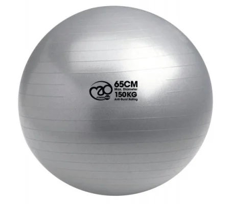 FITNESS MAD 150kg SWISS BALL+ PUMP - 65cm SILVER