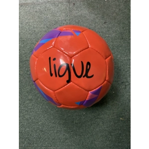 Clearance Ligue Training Ball Size 4