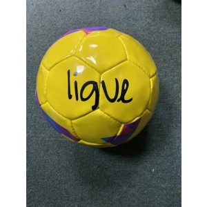 Clearance Ligue Training Ball Size 4