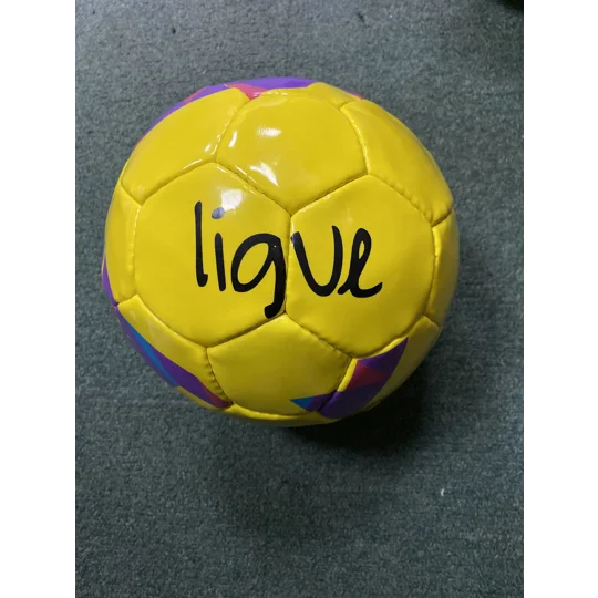 Clearance Ligue Training Ball Size 4