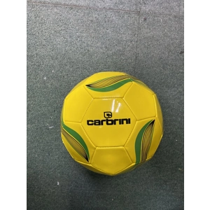 Clearance Carbrini Training Ball Size 5