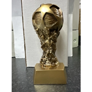 Football Trophy - 66 Remain