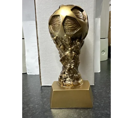 Football Trophy - 66 Remain