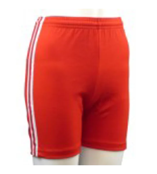 Long Leg Stripe Shorts