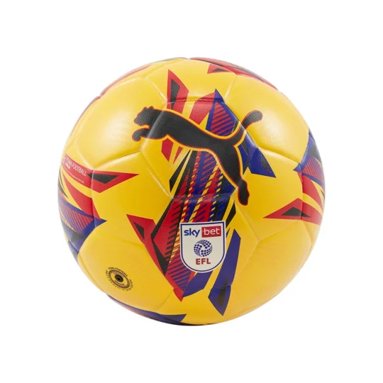Puma Orbita 3 Sky Bet EFL Football 24/25