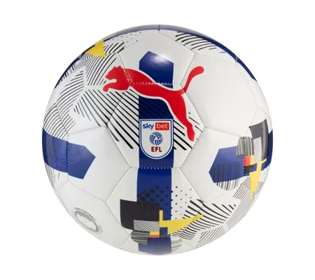 Puma Orbita 6 EFL Sky Bet Training Football 25/26
