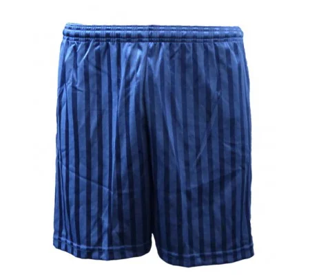 NEW SERIEA SHORTS NAVY