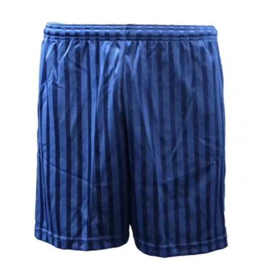 NEW SERIEA SHORTS NAVY