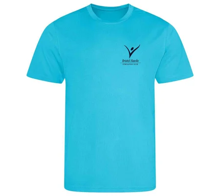 Bristol Hawks Adults T-Shirt