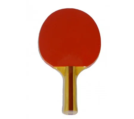 LION TT BAT 120 REVERSE
