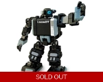 I Robot