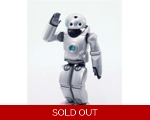 Roy the Robot