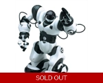 Robot - Ronnie