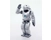 Roy the Robot