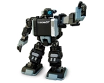 I Robot