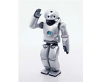 Roy the Robot