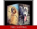 Help Our Dogs Retire.