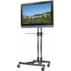 32" LCD Display with HDMI inputs