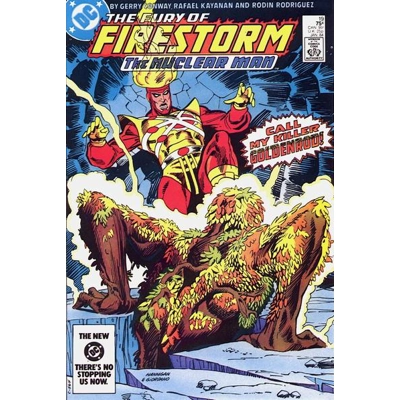 Fury of Firestorm (1982) - 19