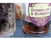 Dandelion & Burdock E-L..