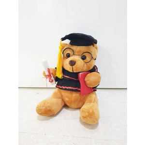 Graduation Bear Soft Toy with Keychain