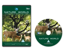 Nature World