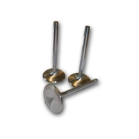 48mm inlet valve set 4pcs  B21/23 and B200/230