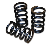 8 valve stronger valve spring set 46kg