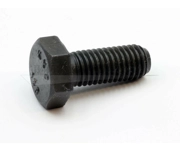 Flywheel bolt