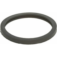 Thermostat gasket seal