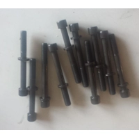 F4P and F4R head bolts