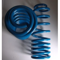 Rear cargo springs HD Amazon Saloon