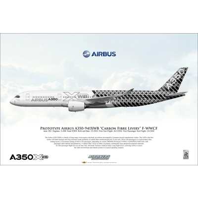 Prototype Airbus A350-941XWB Carbon Fibre Livery F-WWCF msn 002