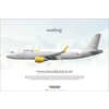 Vueling Airbus A320-214..