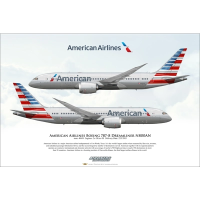 American Airlines Boeing 787-8 Dreamliner N800AN American Airlines Boeing 787-8 Dreamliner N800AN