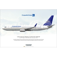 Copa Airlines Boeing 737-8V3 HP-1..